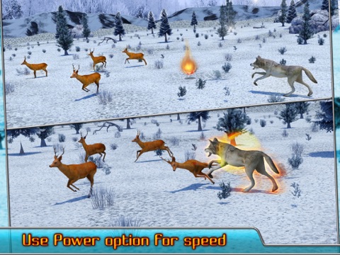 Скриншоты Angry Wolf Simulator 3D iPad 