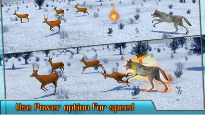 Скриншоты Angry Wolf Simulator 3D