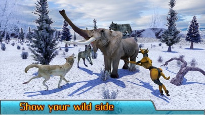 Скриншоты Angry Wolf Simulator 3D