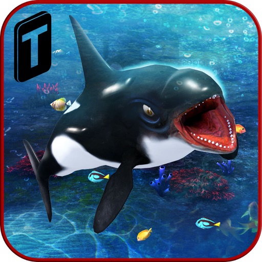 Killer Whale Beach Attack 3D Killer Whale Beach Attack 3D
