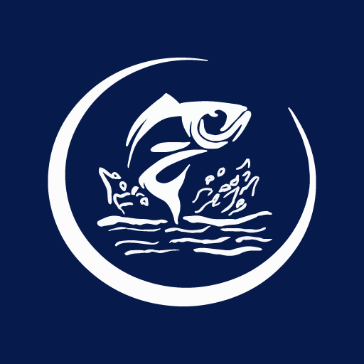 Dannys Sushi