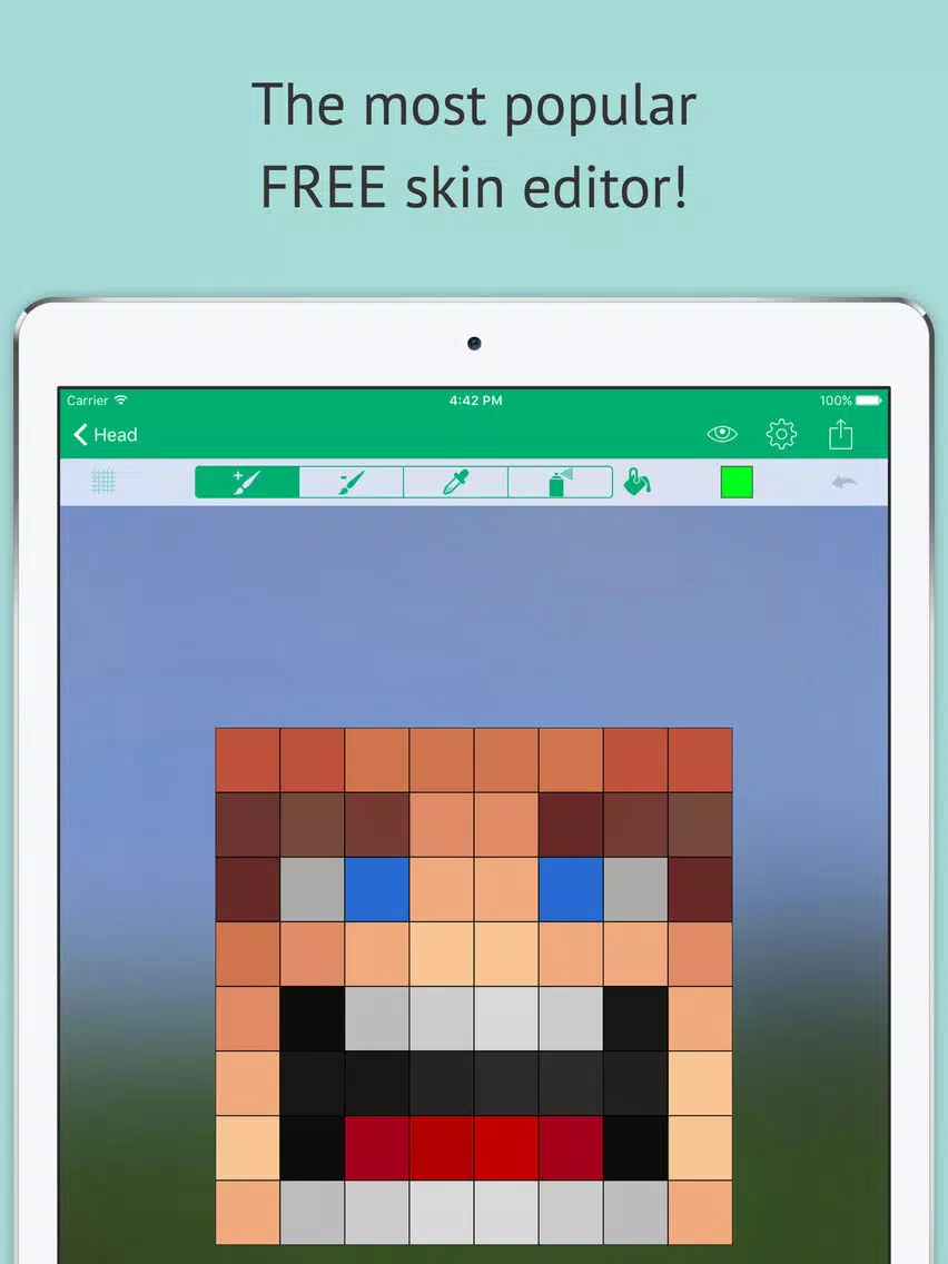 ภาพหน้าจอของ Skin Editor: Minecraft Creator Edition iPad