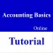 Accounting Basics Tutorial