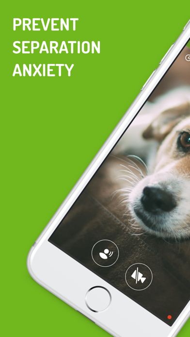 Dog Monitor Screenshots