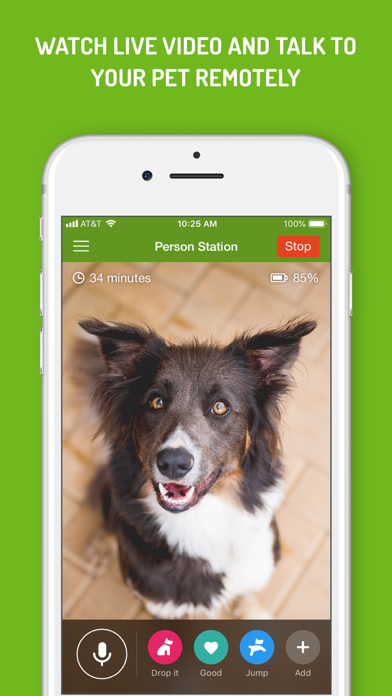 Dog Monitor Screenshots