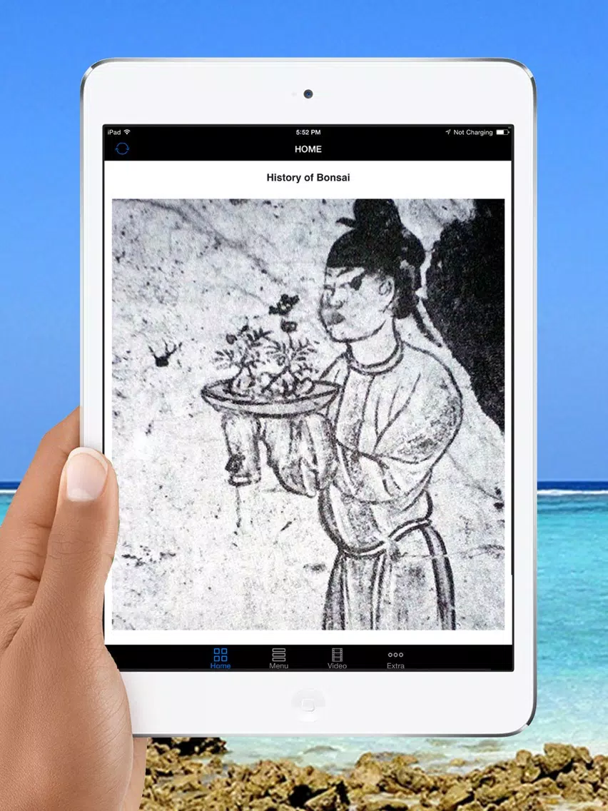 Easy Bonsai Tree For beginners - Best How To Grow Bonzai Plants Tips & Care Instruction UCC Videos, Start Today! iPad Screenshots