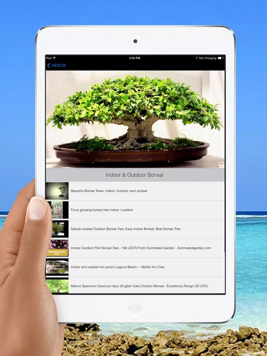 Easy Bonsai Tree For beginners - Best How To Grow Bonzai Plants Tips & Care Instruction UCC Videos, Start Today! iPad Screenshots