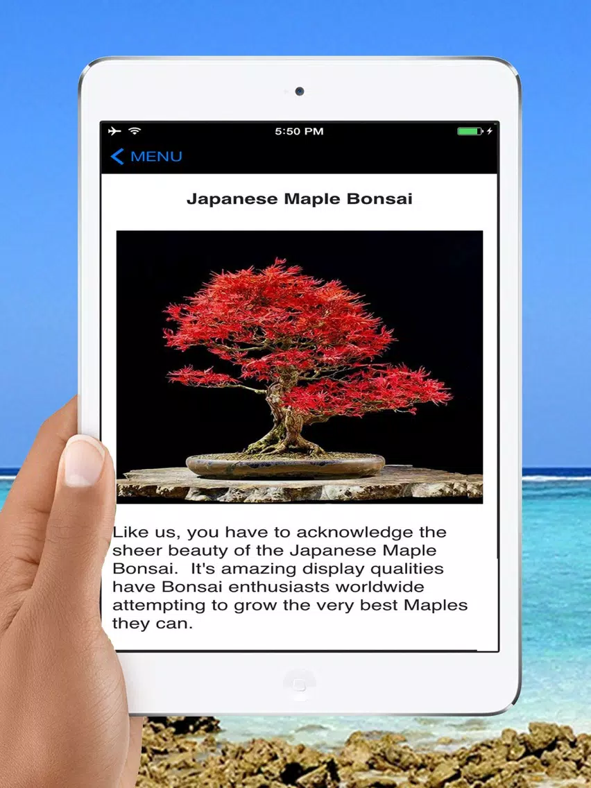Easy Bonsai Tree For beginners - Best How To Grow Bonzai Plants Tips & Care Instruction UCC Videos, Start Today! iPad Screenshots