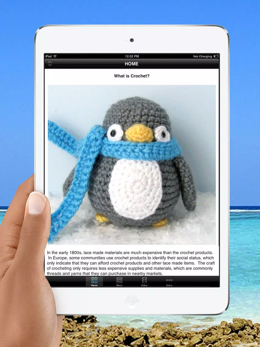 Learn Crochet For Life - Best Quick Guide & Tips For Beginners iPad Screenshots
