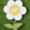 Grow: Water the Garden Flowers