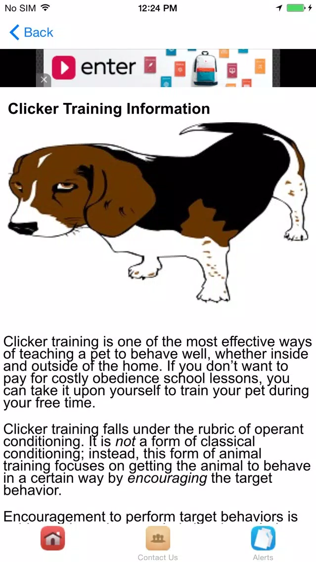 Dog Obedience Training With Clicker Screenshots