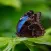 Amazing Nature Puzzle Game