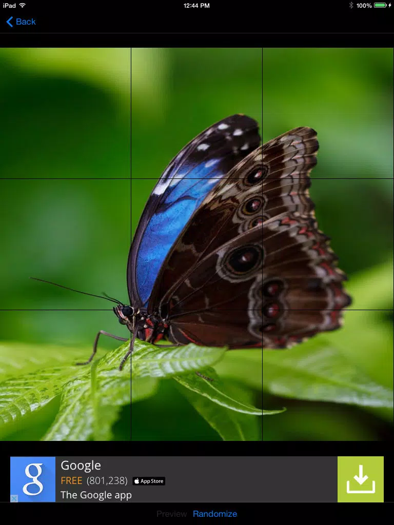 Amazing Nature Puzzle Game iPad Screenshots