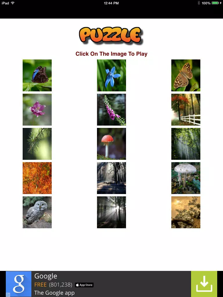 Amazing Nature Puzzle Game iPad Screenshots