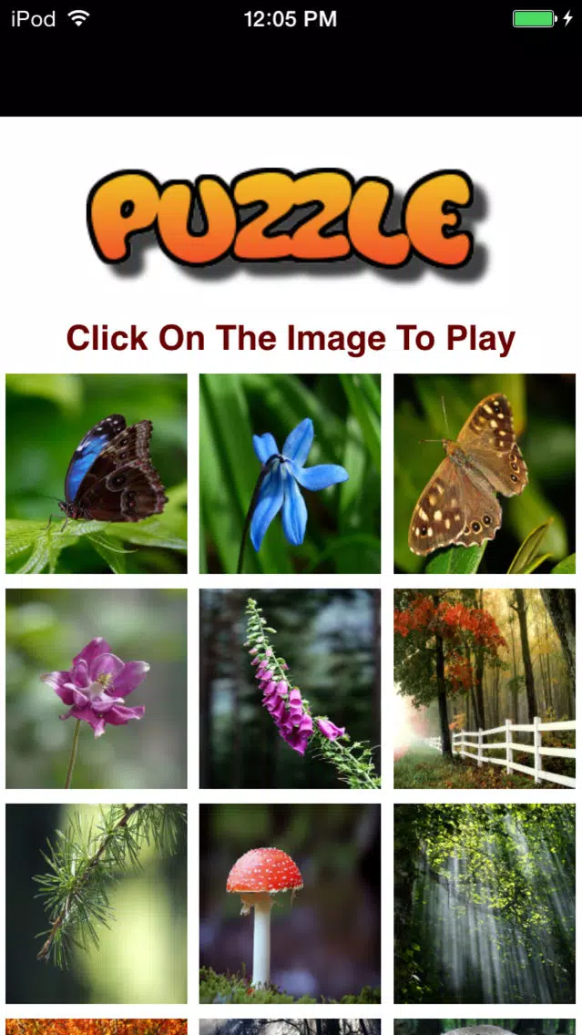 Amazing Nature Puzzle Game Screenshots