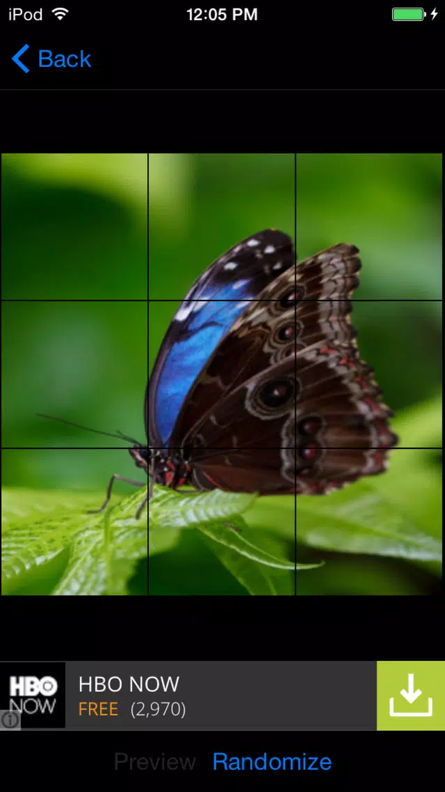 Amazing Nature Puzzle Game Screenshots