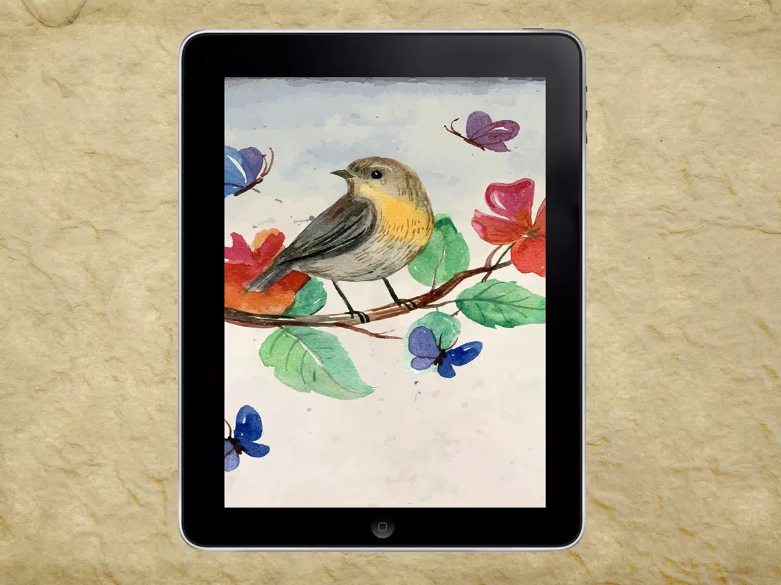 Pet Bird & Breeds - Foreign Birds iPad 应用截图