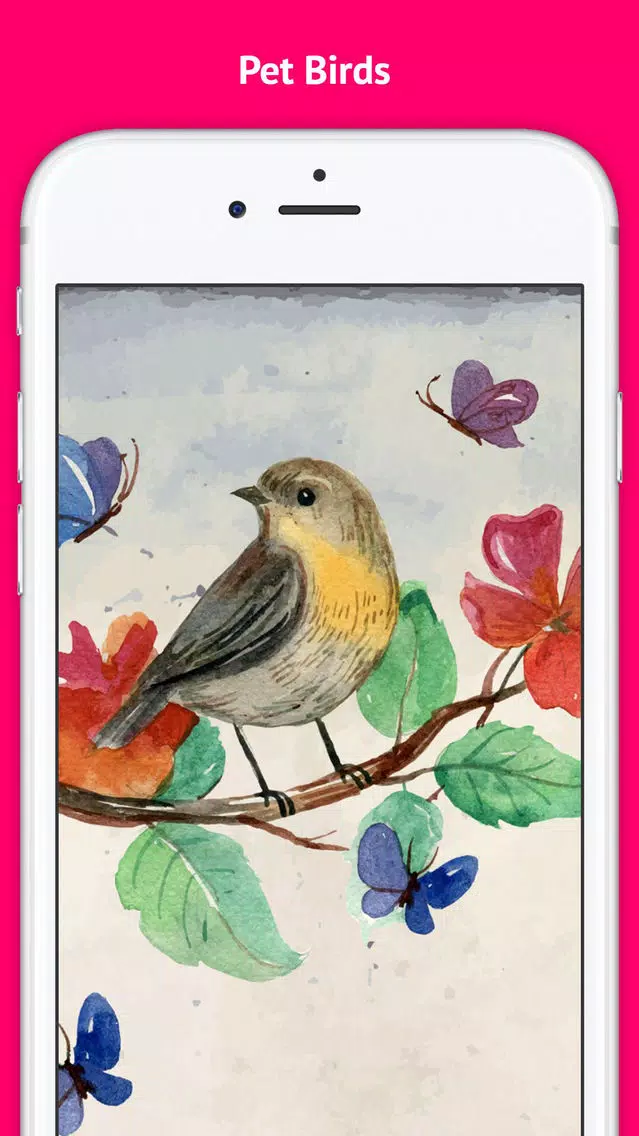 Pet Bird & Breeds - Foreign Birds应用截图