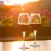 AppMark - Best Winery App