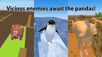 Roll Roll Panda Screenshots