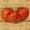 Tomato Match from Fine Gardening