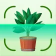 AI Plant Identifier: SnapFlora