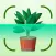 AI Plant Identifier: SnapFlora