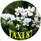 Taxi 87