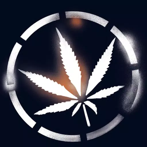 The Drug Detection APP The Drug Detection APP