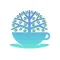 Teacup MD
