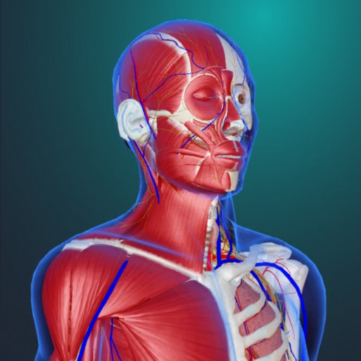 teamLab Body Pro 3d anatomy teamLab Body Pro 3d anatomy