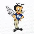 Babson Park Elementary Gnats