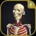 3D motion anatomy teamLabBody
