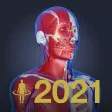 3D anatomy teamLabBody2021