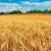 Farming Wallpapers HD