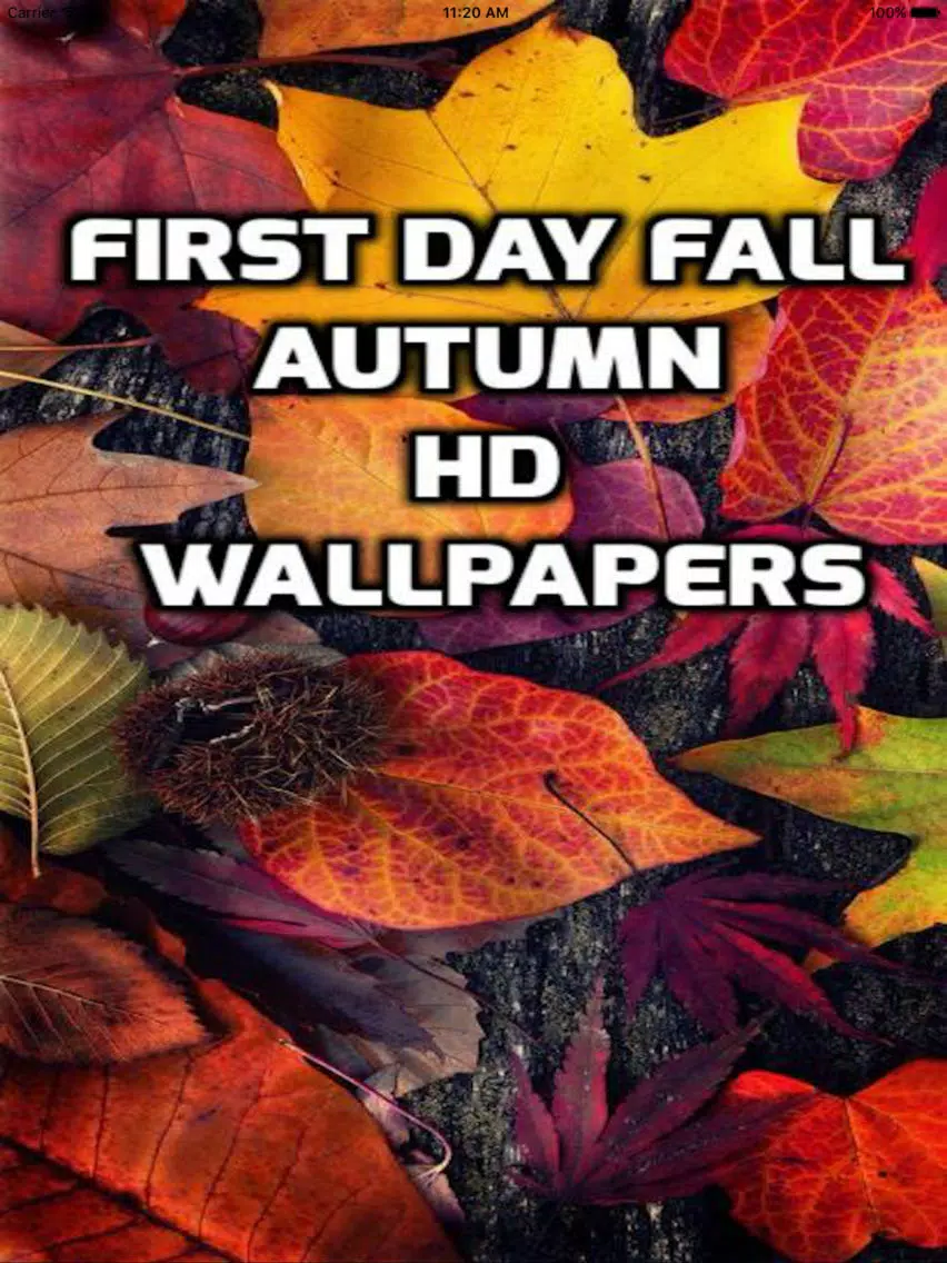 First Day Fall - Autumn HD Wallpapers iPad Screenshots