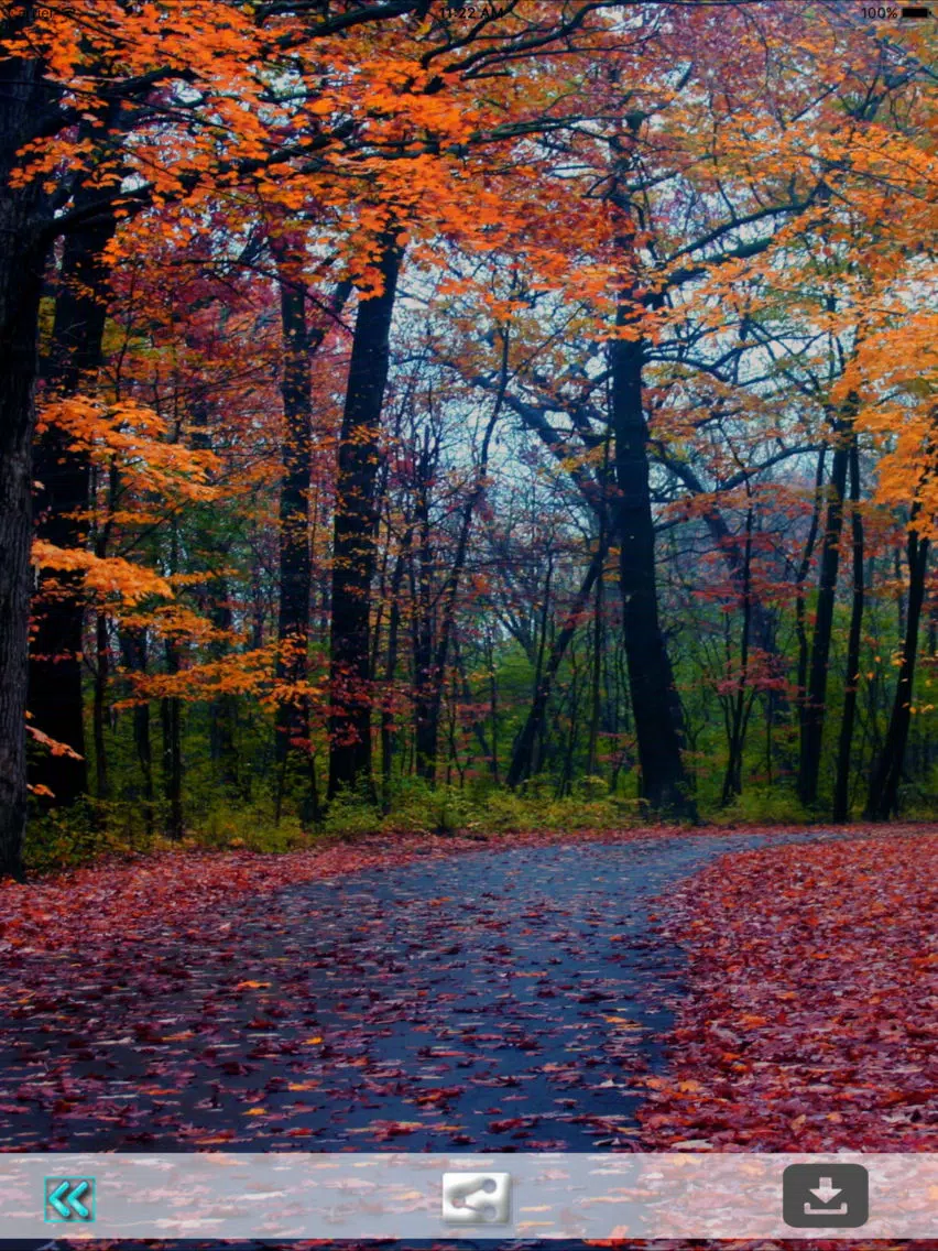 First Day Fall - Autumn HD Wallpapers iPad Screenshots