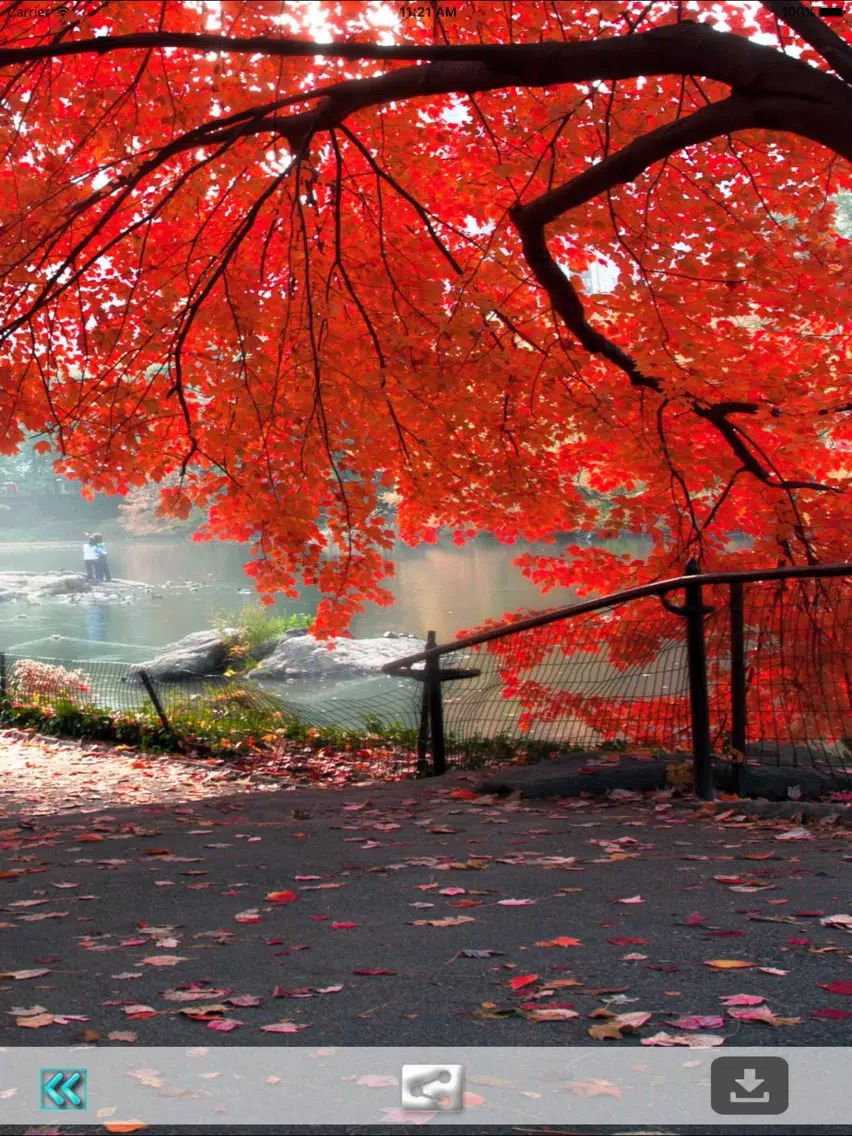 First Day Fall - Autumn HD Wallpapers iPad Screenshots