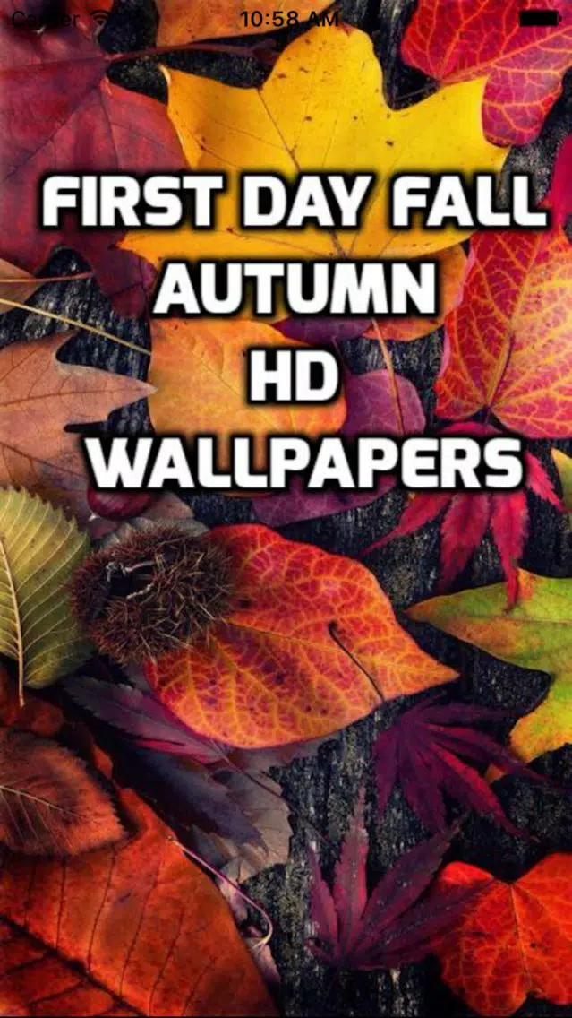 First Day Fall - Autumn HD Wallpapers Screenshots