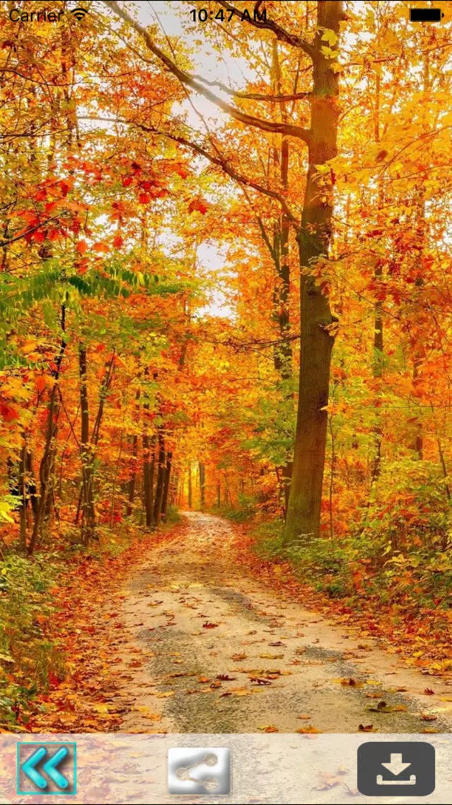 First Day Fall - Autumn HD Wallpapers Screenshots