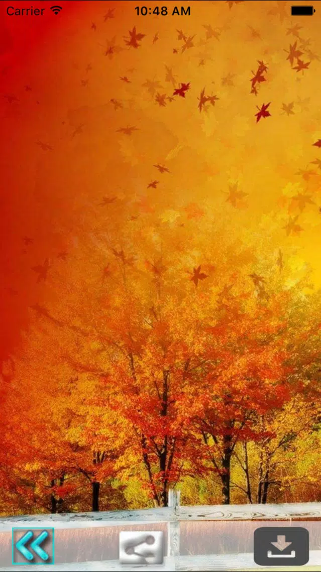 First Day Fall - Autumn HD Wallpapers Screenshots
