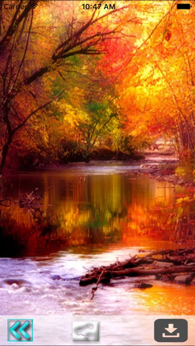 First Day Fall - Autumn HD Wallpapers Screenshots