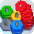 Wood Nuts Sort - Screws Puzzle