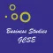 Business Studies GCSE
