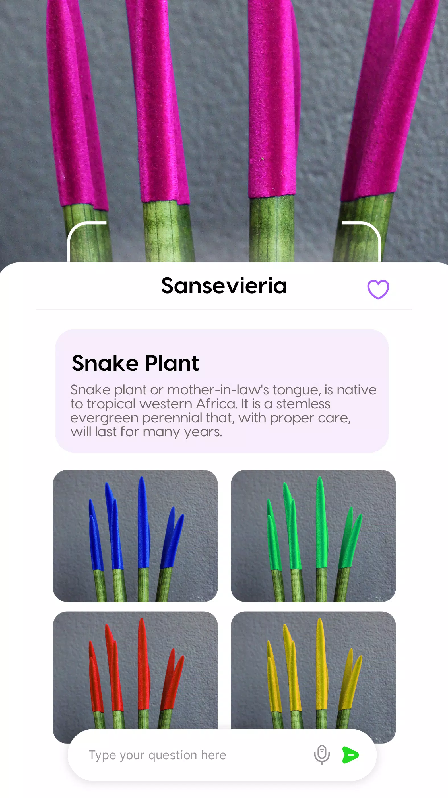 Plant Pic Identifier Screenshots