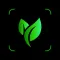 Plant Pic Identifier