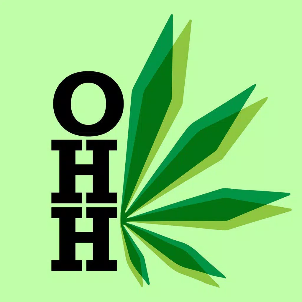 Oh Hey High Oh Hey High
