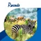 Rwanda Tourism