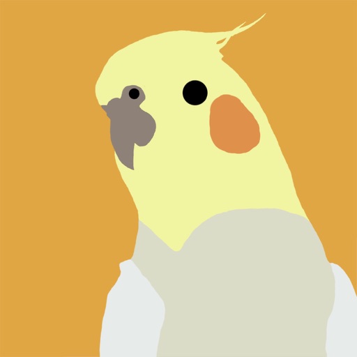 Pied Draw Pied Draw