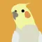 Pied Draw